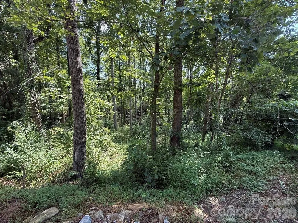 256 Burge Mountain Road Hendersonville, NC 28792