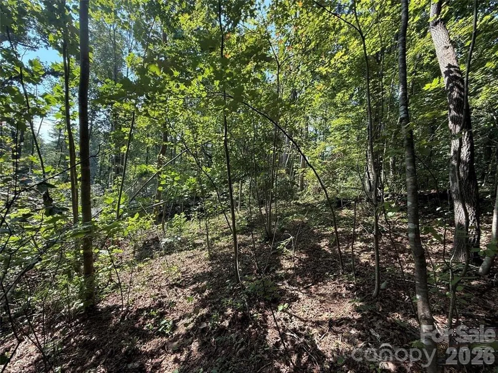 256 Burge Mountain Road Hendersonville, NC 28792