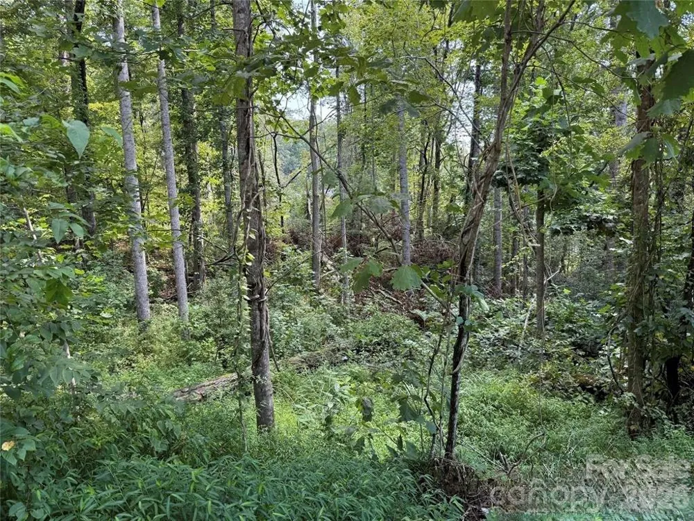 256 Burge Mountain Road Hendersonville, NC 28792