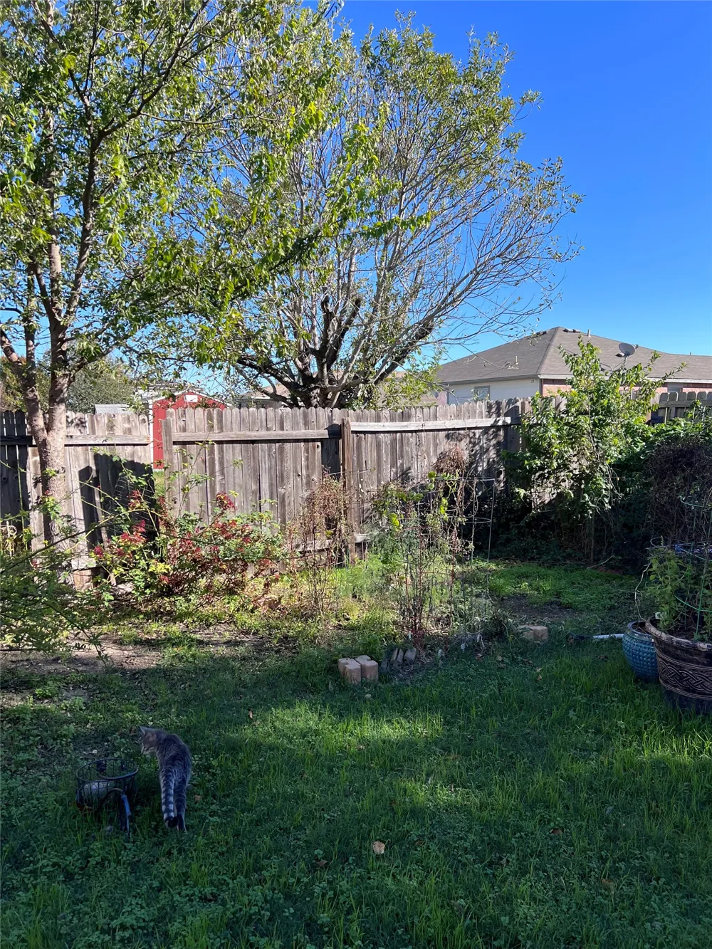 2406 Love Road Killeen, TX 76542