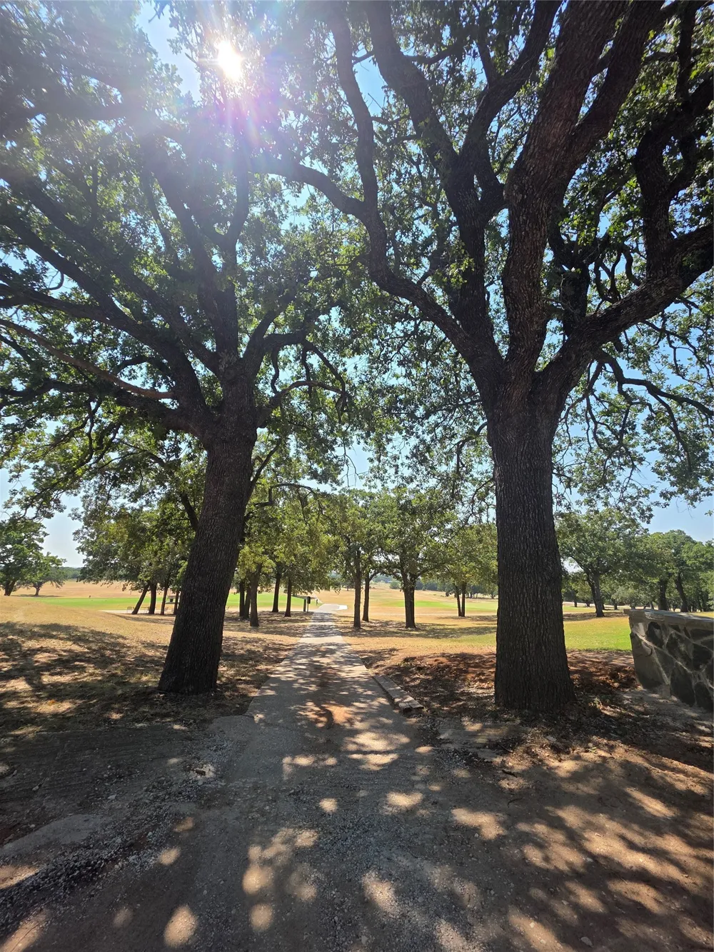 163 Nocona Drive Nocona, TX 76255
