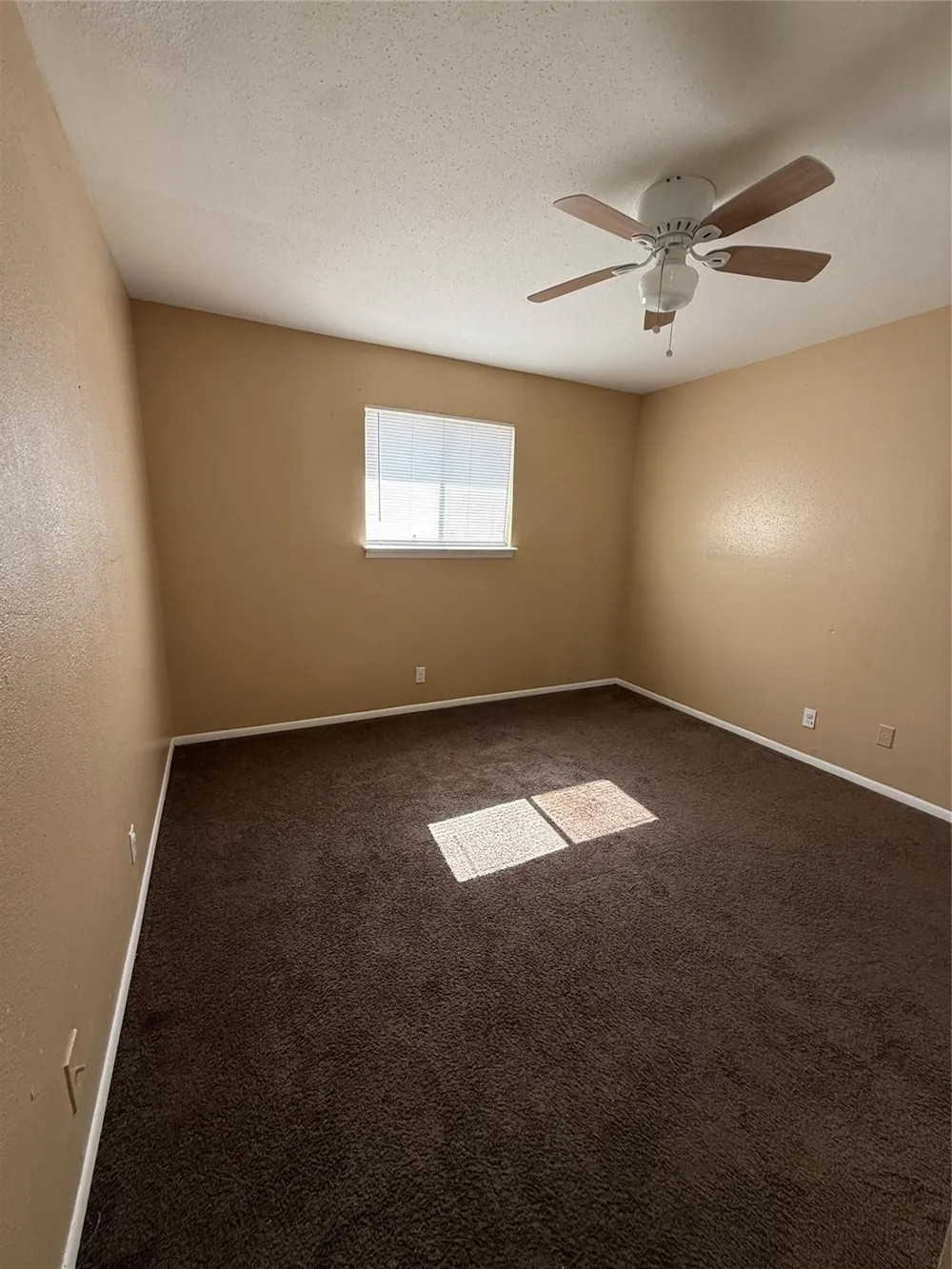 2716 Avenue Q #5 Galveston, TX 77550