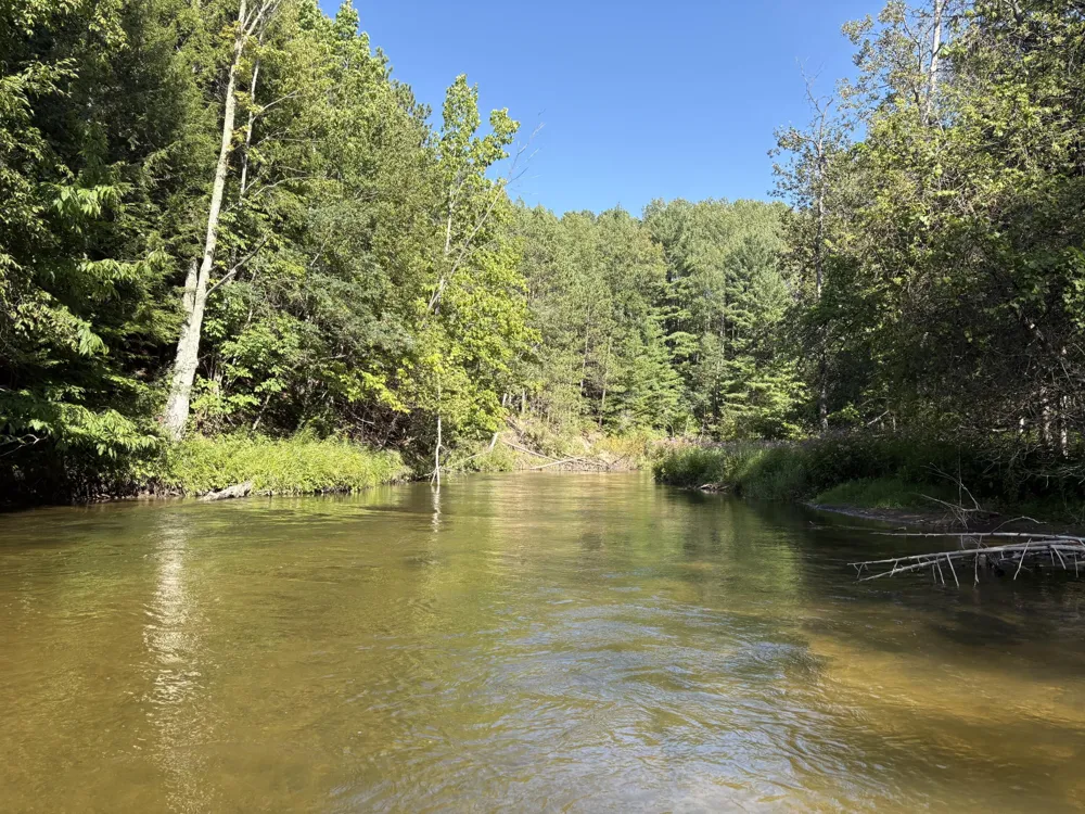 18821 Moore Road Springdale Township, MI 49683