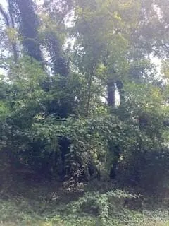 99999 Old Haw Creek Road #Lots 1 & 2 Asheville, NC 28805