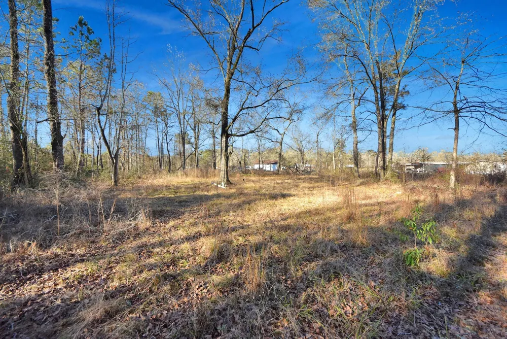 271 Trails End Drive Cleveland, TX 77328