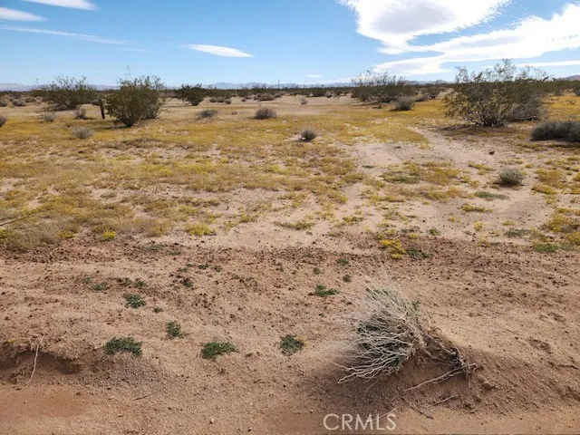 Saturn Drive Joshua Tree, CA 92252