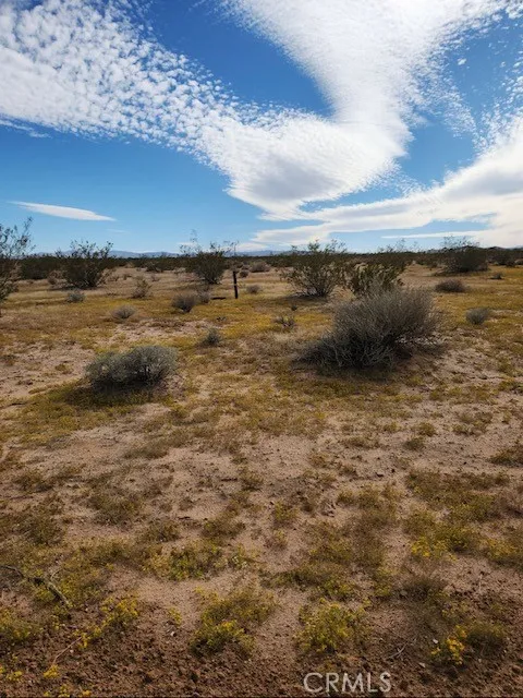 Saturn Drive Joshua Tree, CA 92252