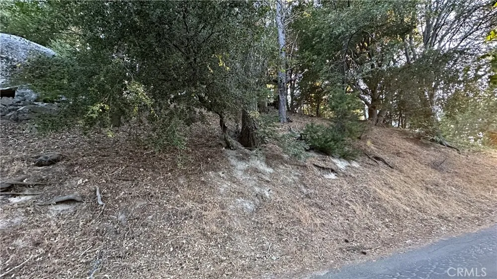 Mid Lane Twin Peaks, CA 92391