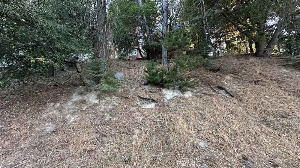 Mid Lane Twin Peaks, CA 92391