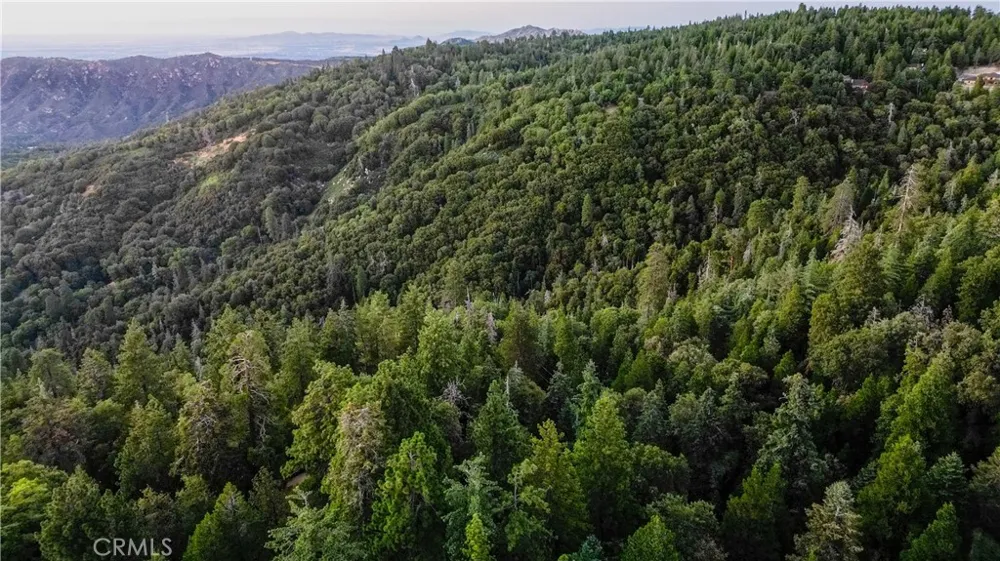 Mid Lane Twin Peaks, CA 92391