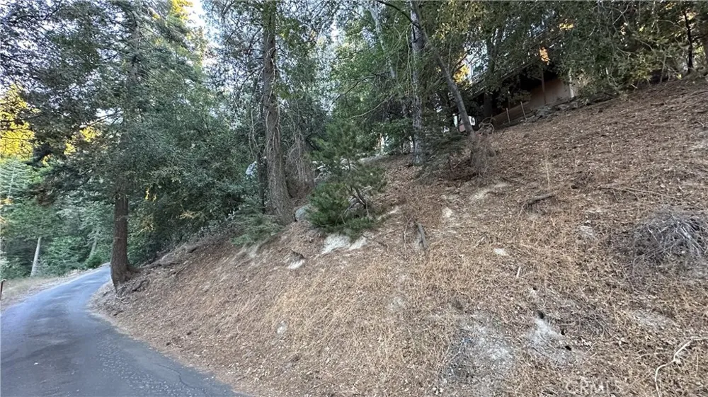 Mid Lane Twin Peaks, CA 92391