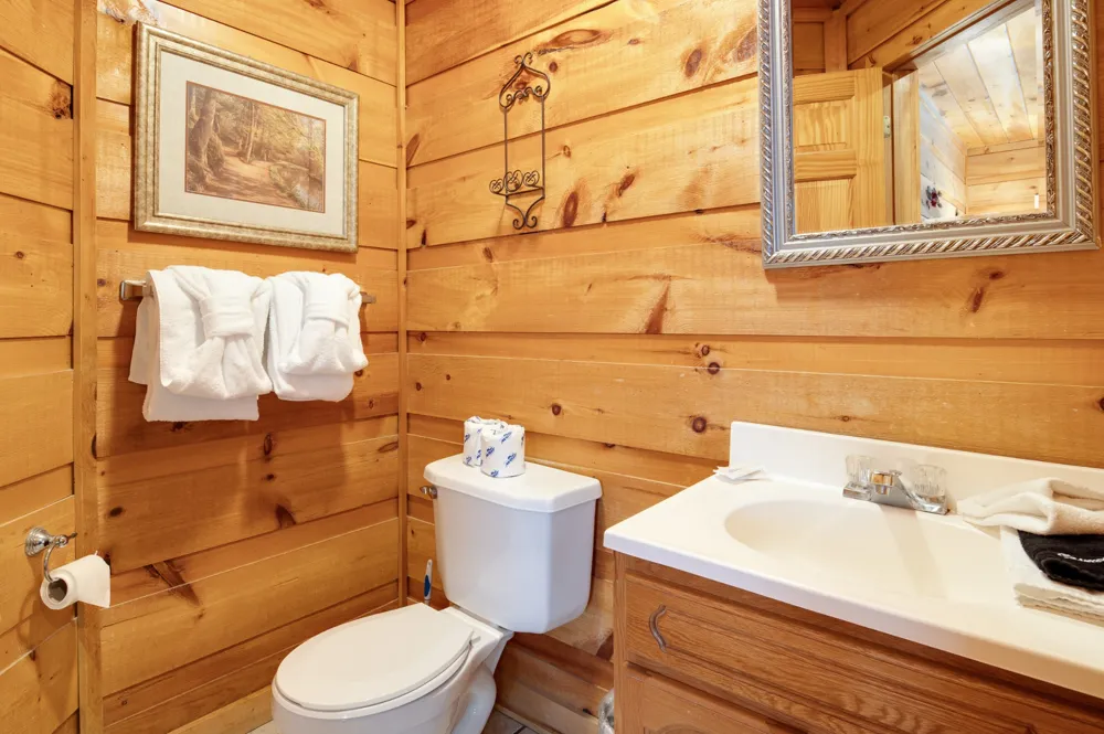 1433 Twin Rock Sevierville, TN 37862