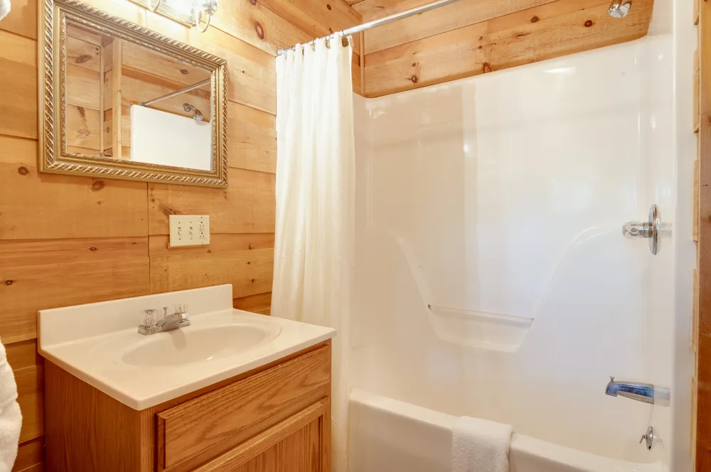 1433 Twin Rock Sevierville, TN 37862