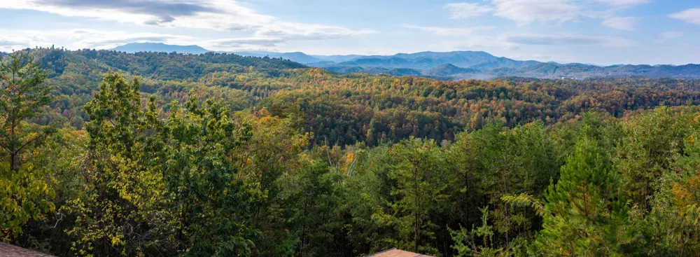 1433 Twin Rock Sevierville, TN 37862