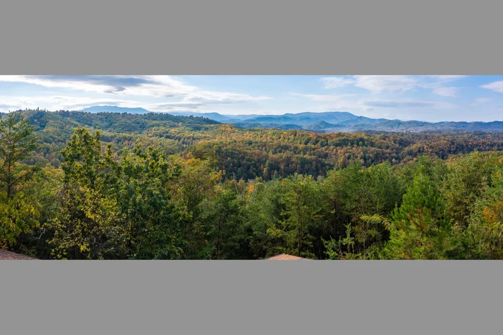 1433 Twin Rock Sevierville, TN 37862