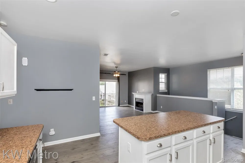 10130 RIDGE RUN STREET Hartland Township, MI 48855
