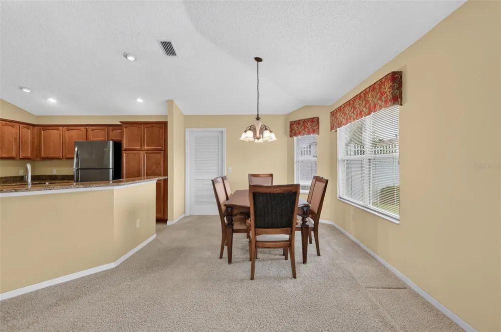 578 STATESBURG STREET The Villages, FL 32162