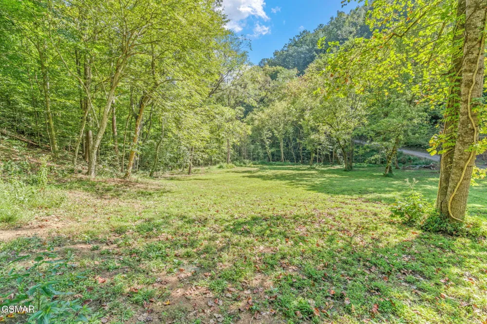 1035 Porterfield Gap Road Seymour, TN 37865