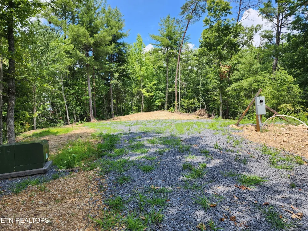 0 Tiger Lilly Drive Cosby, TN 37722