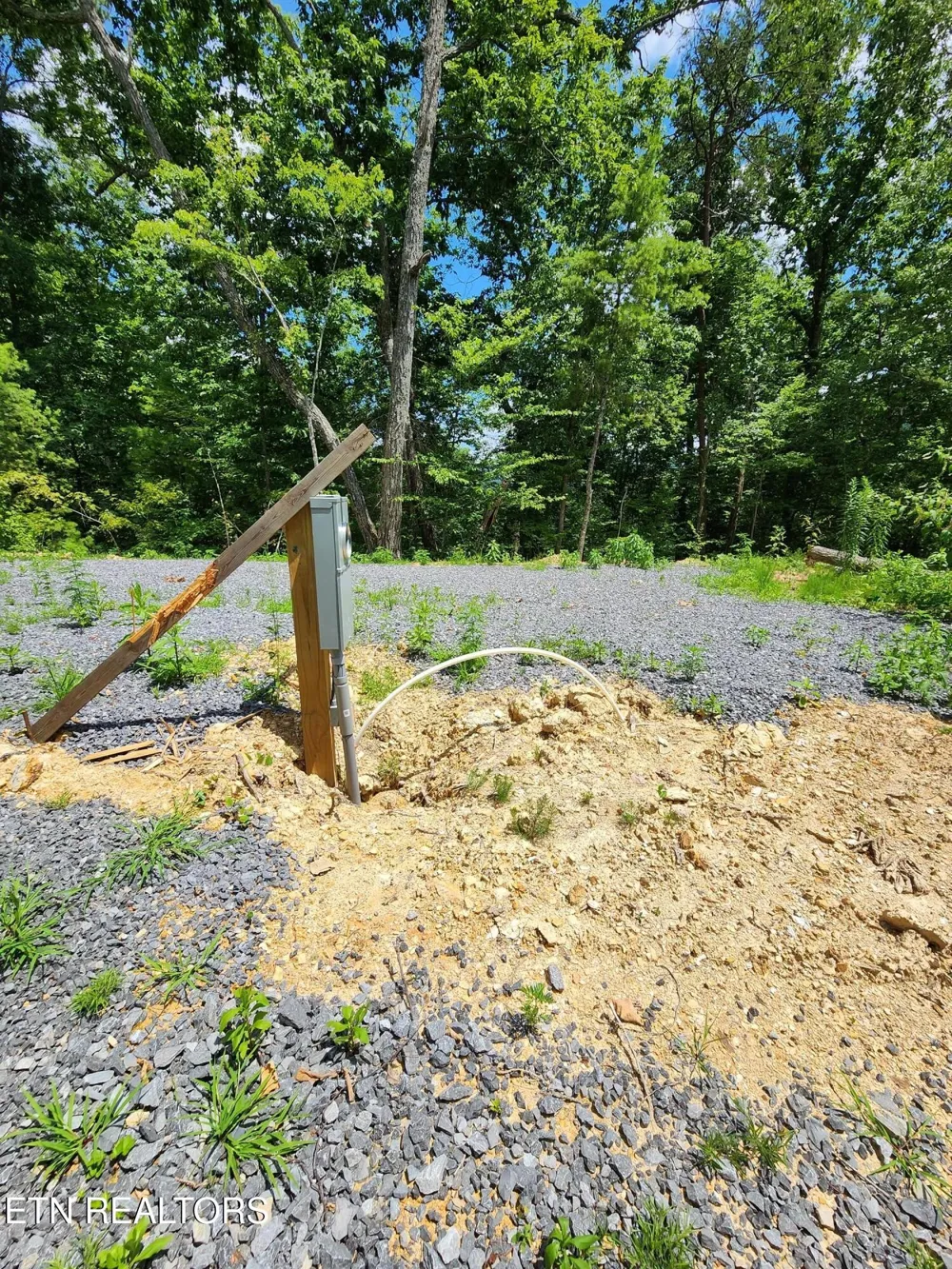 0 Tiger Lilly Drive Cosby, TN 37722