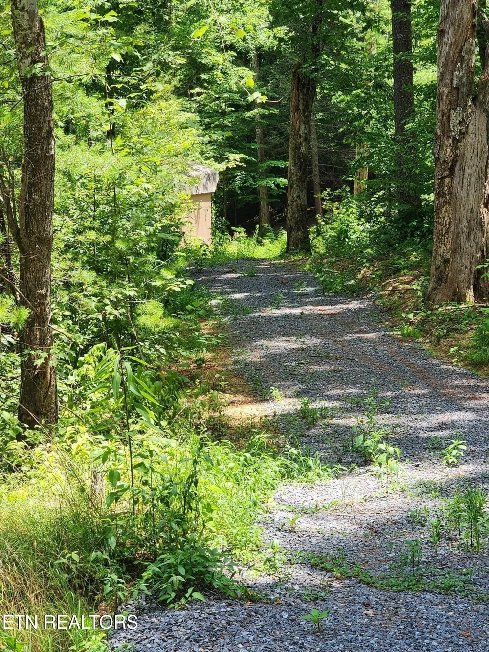 0 Tiger Lilly Drive Cosby, TN 37722