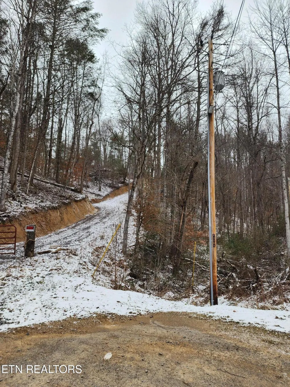 0 Tiger Lilly Drive Cosby, TN 37722