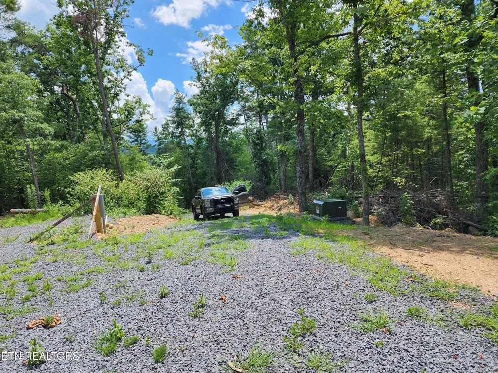 0 Tiger Lilly Drive Cosby, TN 37722