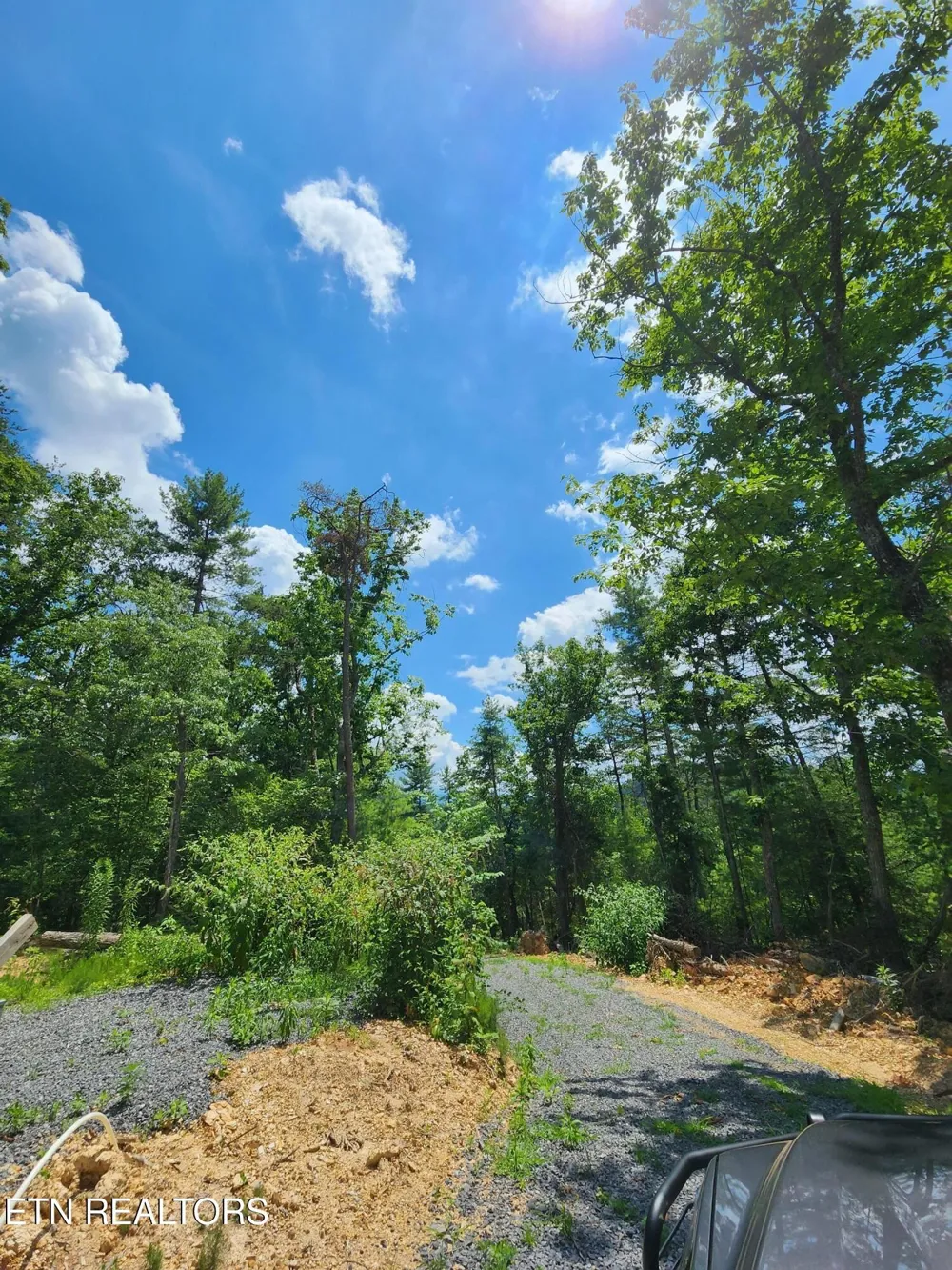 0 Tiger Lilly Drive Cosby, TN 37722