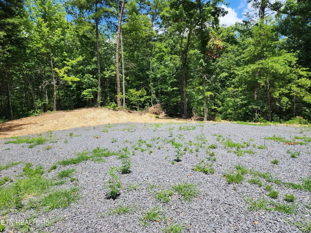 0 Tiger Lilly Drive Cosby, TN 37722
