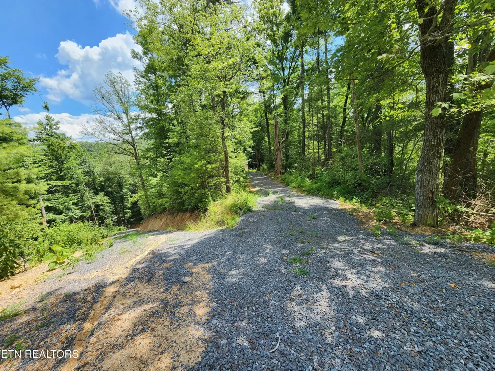 0 Tiger Lilly Drive Cosby, TN 37722