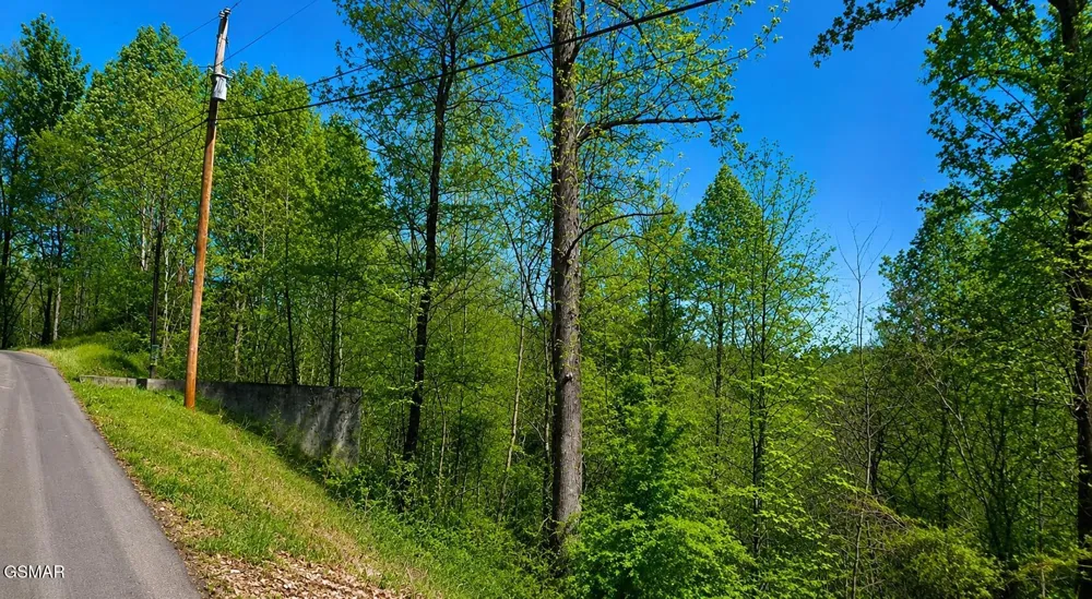 1811 Beach Front Drive Sevierville, TN 37876