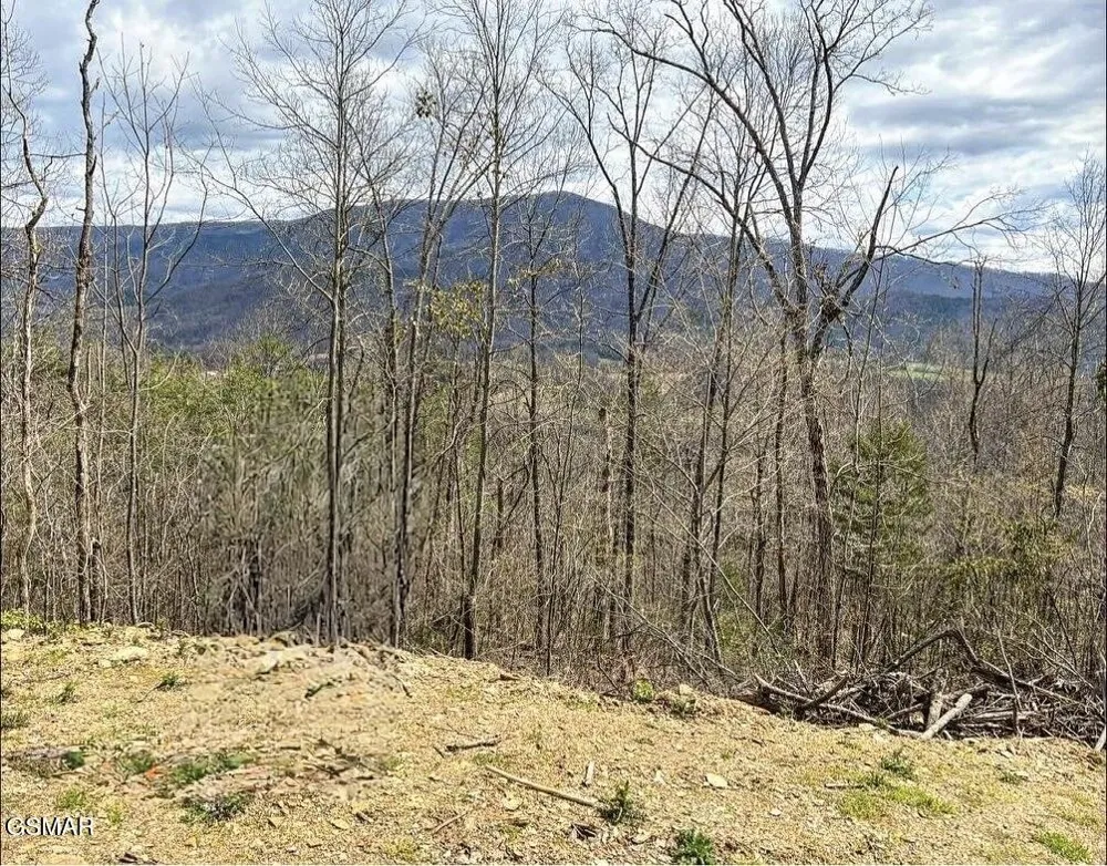 0 Quail Way Sevierville, TN 37862