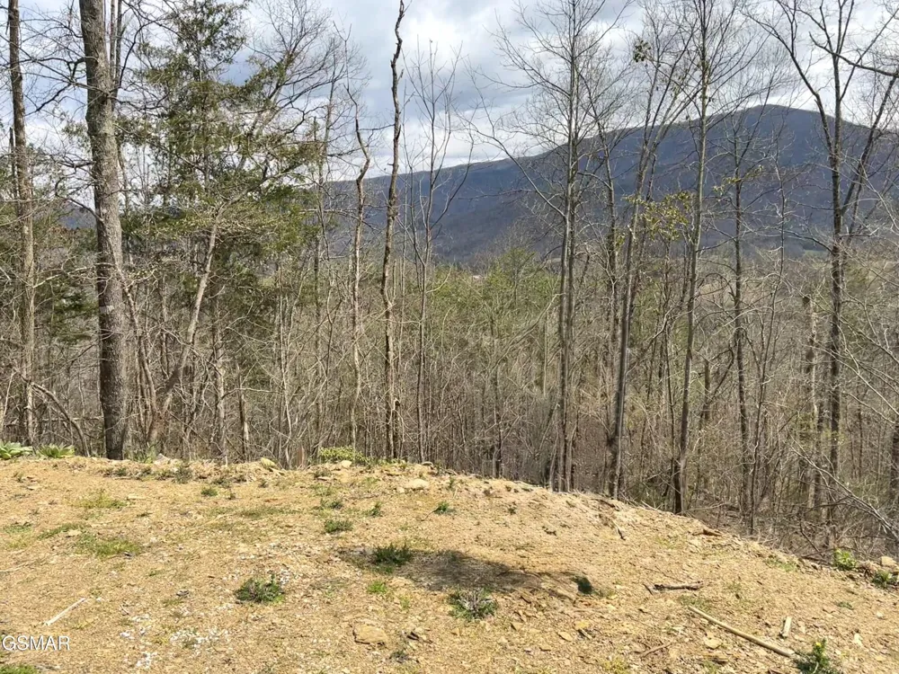 0 Quail Way Sevierville, TN 37862