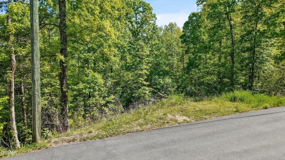 0 Quail Way Sevierville, TN 37862