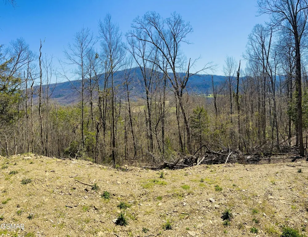 0 Quail Way Sevierville, TN 37862