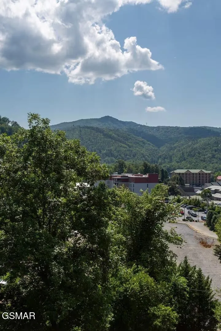 354 E Holly Ridge Road Gatlinburg, TN 37738