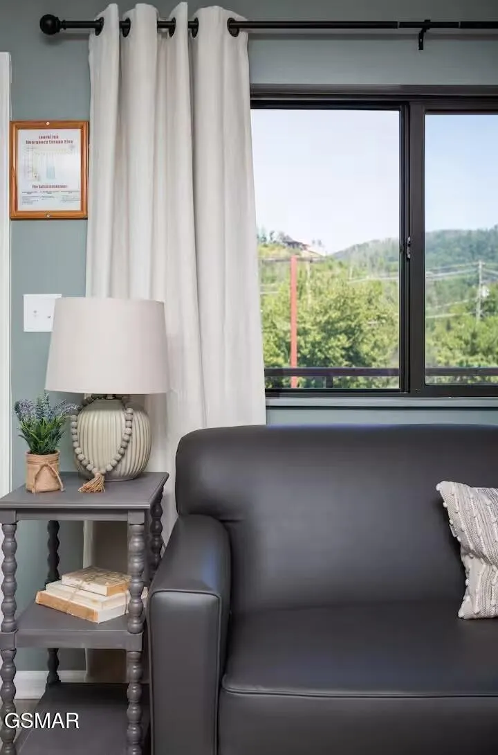 354 E Holly Ridge Road Gatlinburg, TN 37738