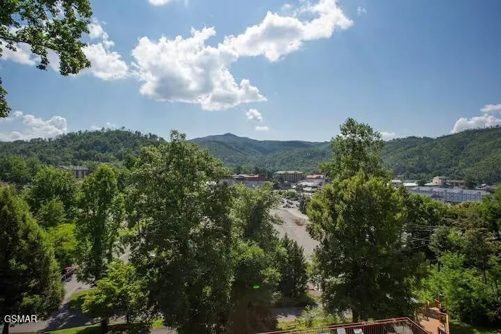 354 E Holly Ridge Road Gatlinburg, TN 37738