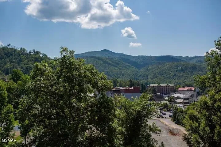 354 E Holly Ridge Road Gatlinburg, TN 37738