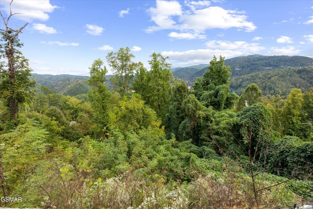 430 Greystone Heights Road Gatlinburg, TN 37738