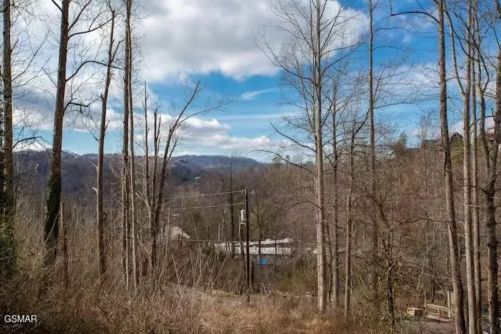 324 Lewis Clabo Road Gatlinburg, TN 37738