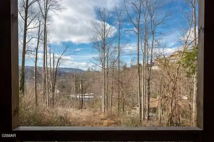 324 Lewis Clabo Road Gatlinburg, TN 37738