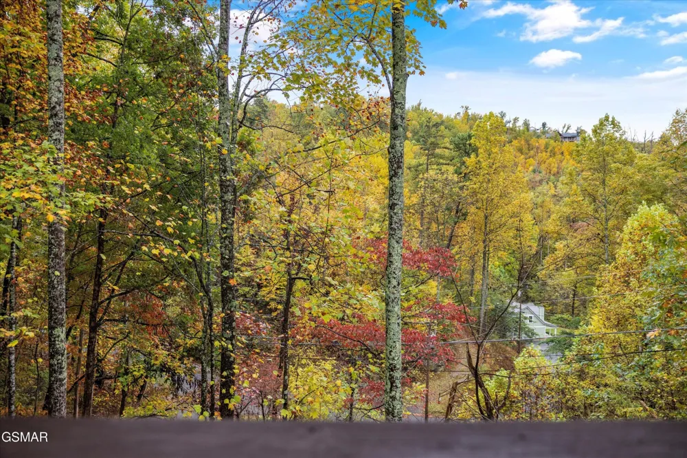 610 Timber Ridge Road Gatlinburg, TN 37738