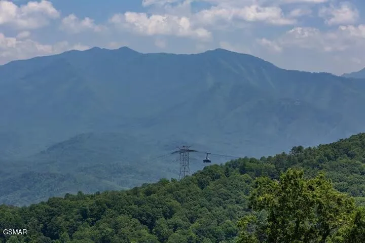 1260 Ski View Drive #8205 Gatlinburg, TN 37738
