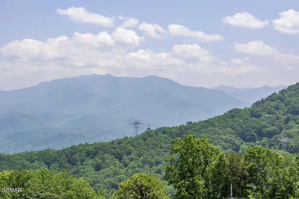 1260 Ski View Drive #8205 Gatlinburg, TN 37738