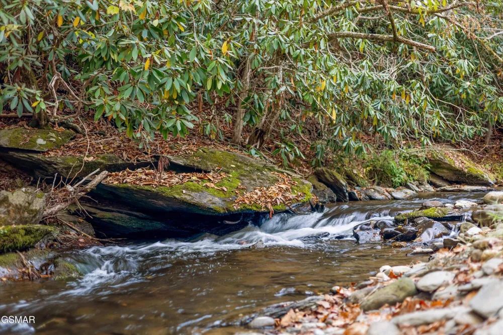 2951 Webb Creek Road Sevierville, TN 37876