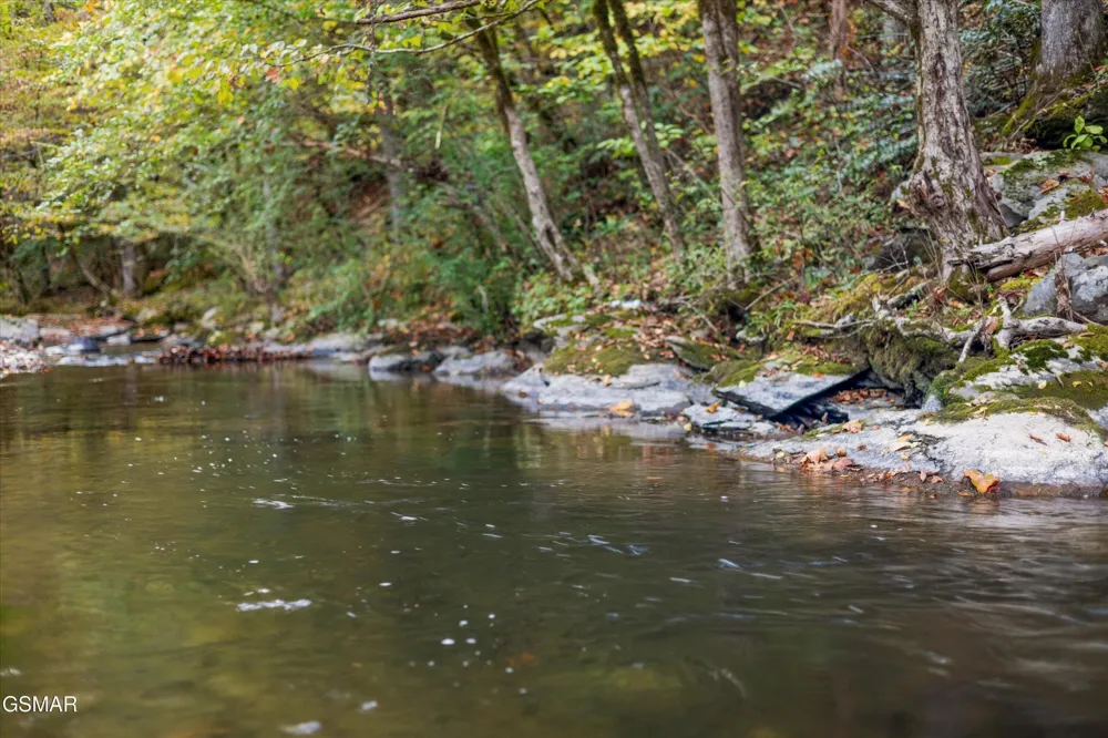 2951 Webb Creek Road Sevierville, TN 37876
