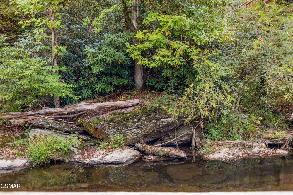 2951 Webb Creek Road Sevierville, TN 37876