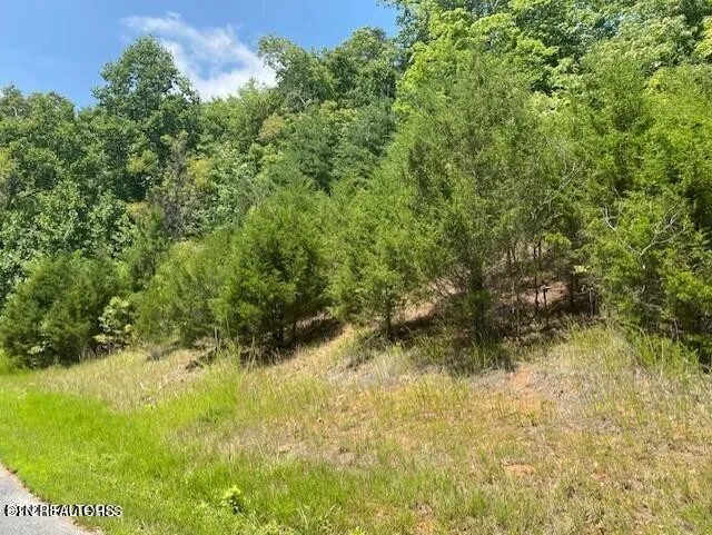492 Citron Lane New Tazewell, TN 37825