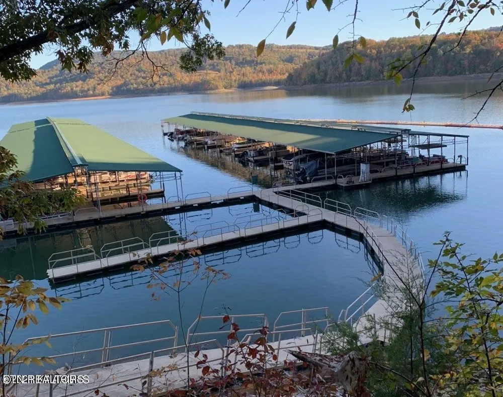 492 Citron Lane New Tazewell, TN 37825